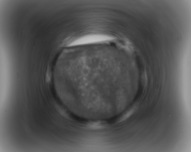 X0000084000072200703091914