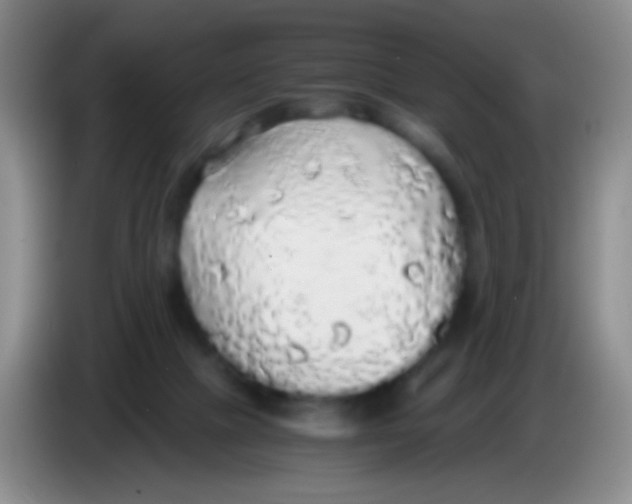 X0000084000073200703091915
