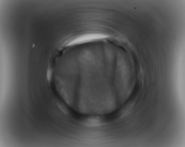 X0000084000076200703091915