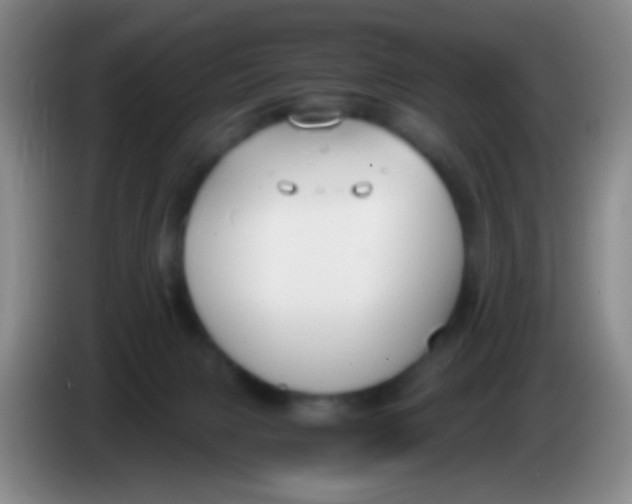 X0000084000079200703091915