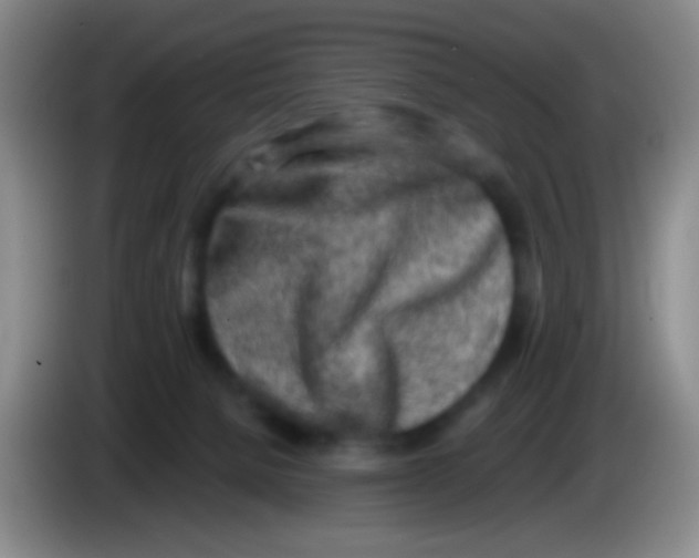 X0000084000080200703091915