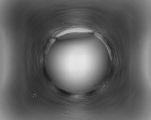 X0000084000084200703091915