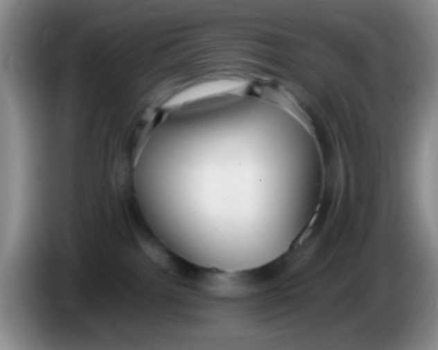 X0000084000092200703091915