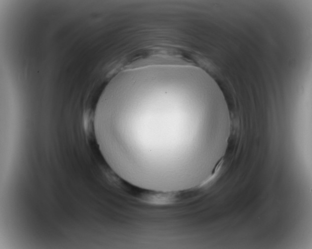 X0000084000094200703091915