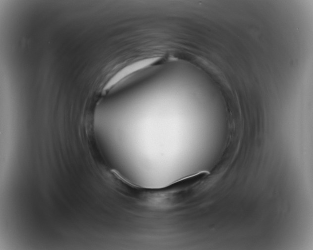 X0000084000096200703091915