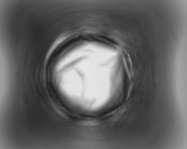 X0000084000102200703091914