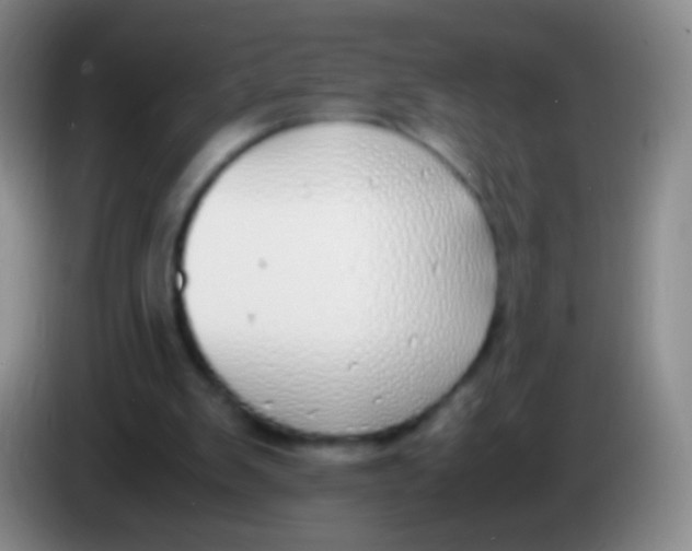 X0000084000103200703091914