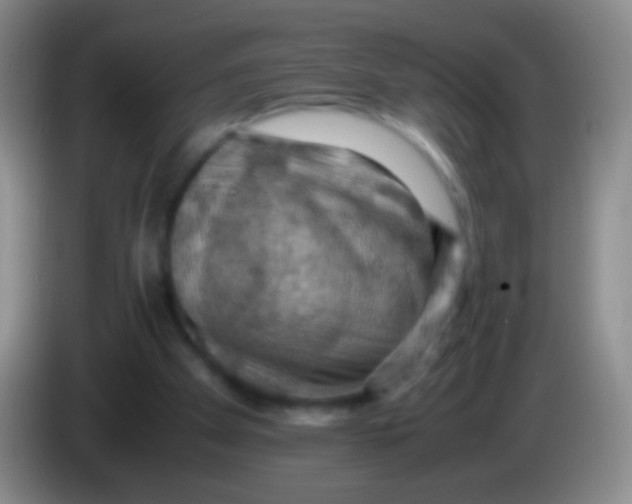 X0000084000105200703091914