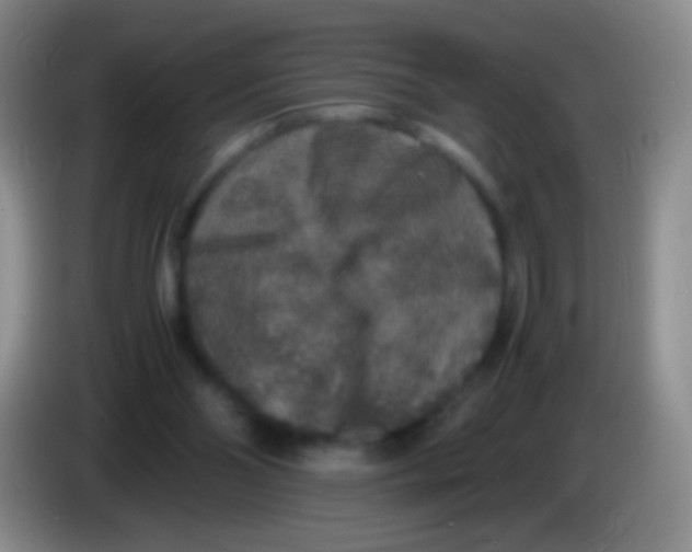 X0000084000110200703091914