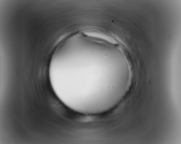 X0000084000111200703091914