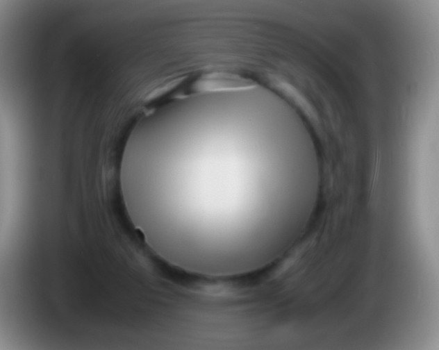 X0000084000113200703091914