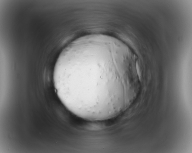 X0000084000115200703091914