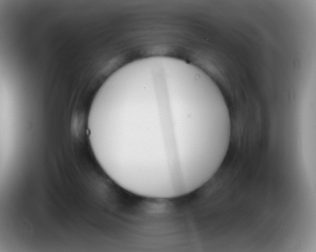 X0000084000118200703091914