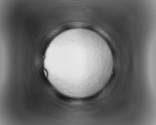 X0000084000119200703091914
