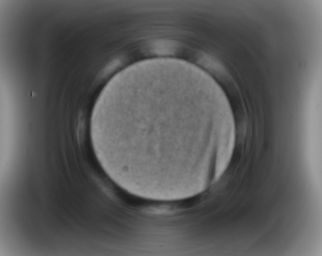 X0000084000120200703091914