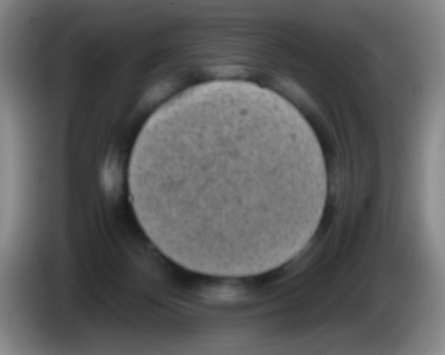 X0000084000124200703091914