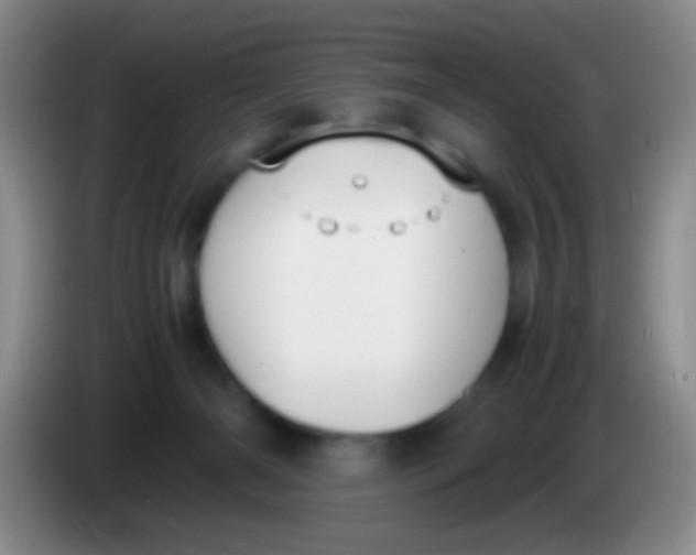 X0000084000126200703091914