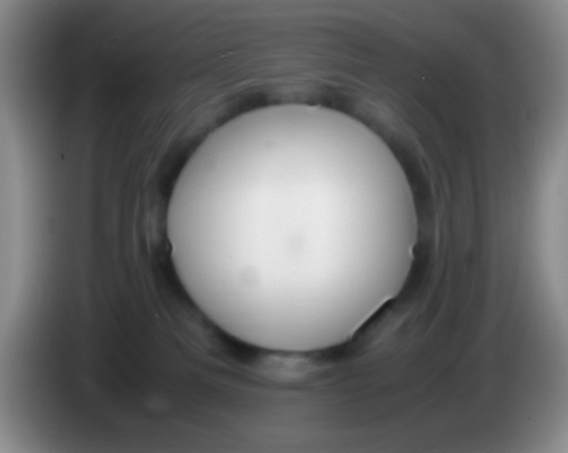 X0000084000133200703091914