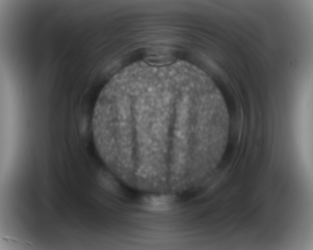 X0000084000134200703091914
