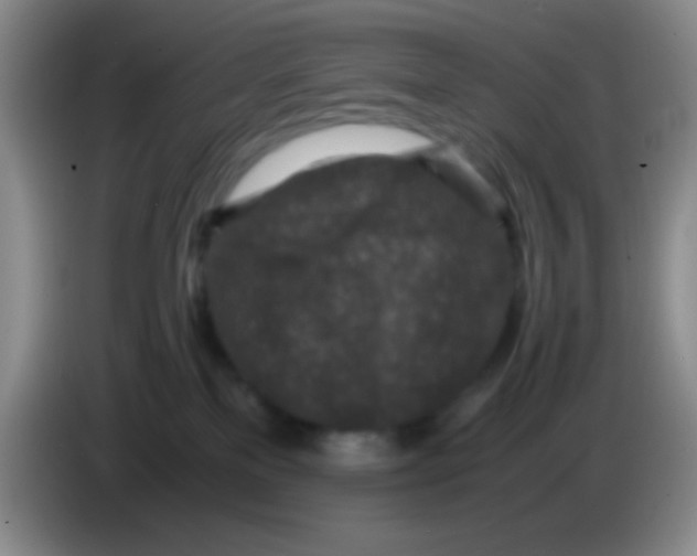 X0000084000137200703091914