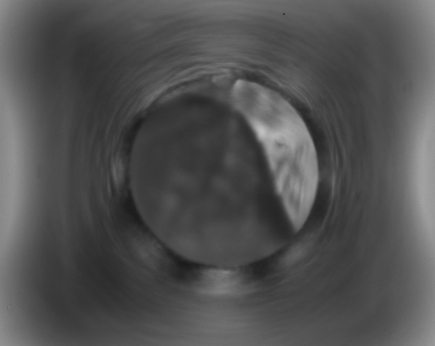 X0000084000139200703091914