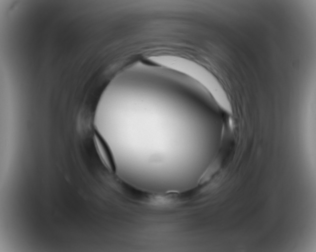 X0000084000141200703091914