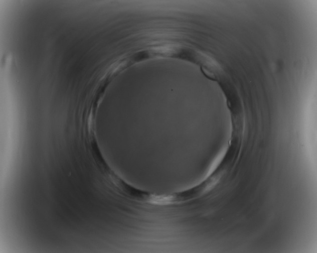 X0000084000143200703091914