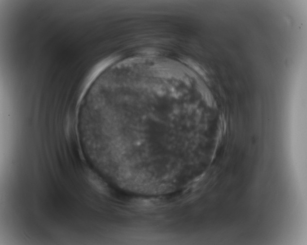 X0000084000147200703091913