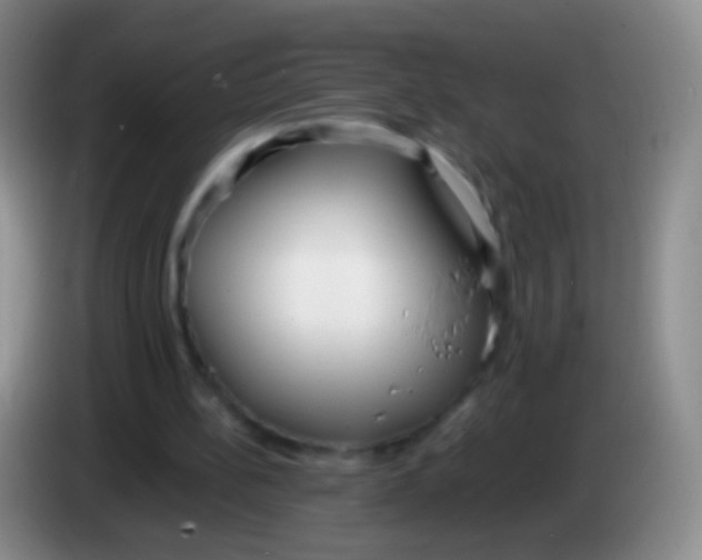 X0000084000148200703091913