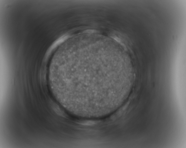 X0000084000149200703091913