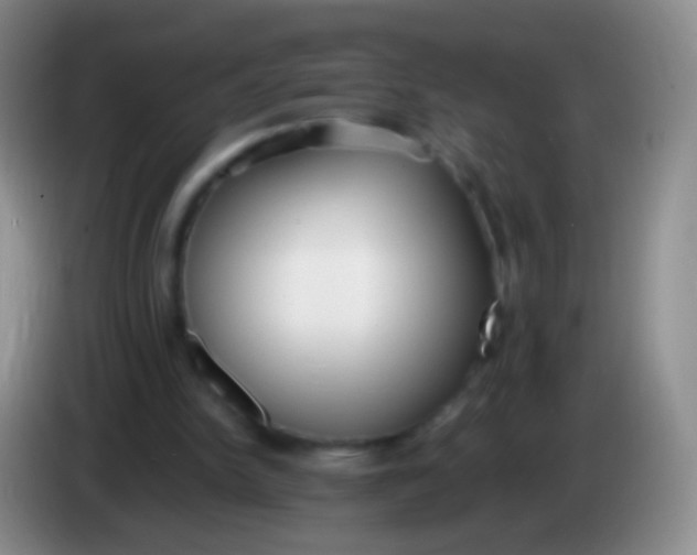 X0000084000150200703091913