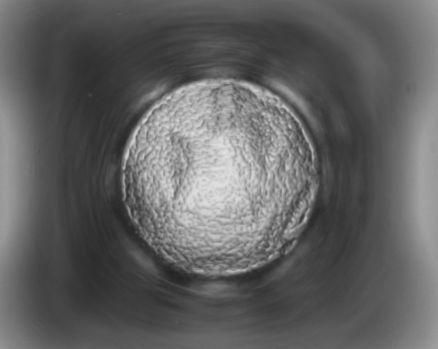 X0000084000153200703091913