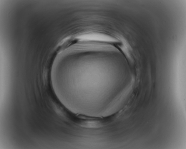 X0000084000154200703091913
