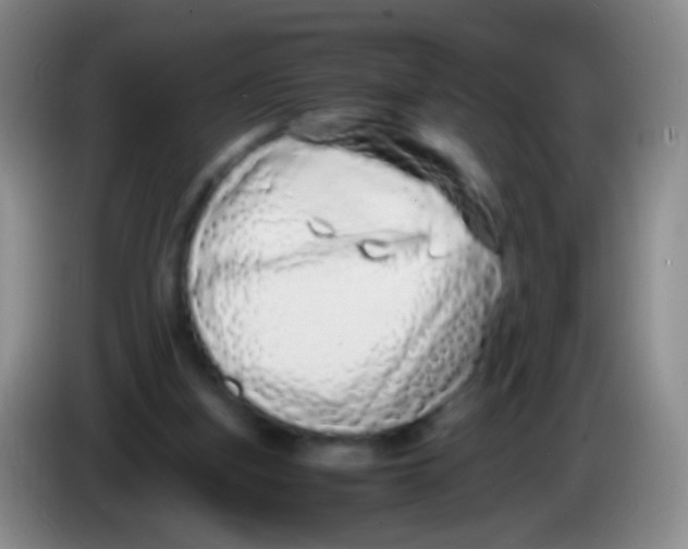 X0000084000155200703091913
