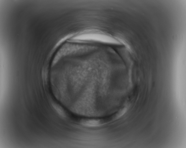 X0000084000156200703091913