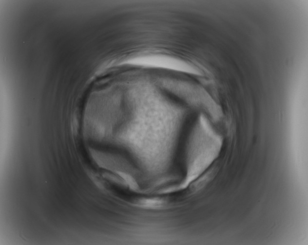 X0000084000158200703091913