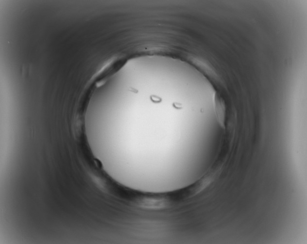 X0000084000160200703091913