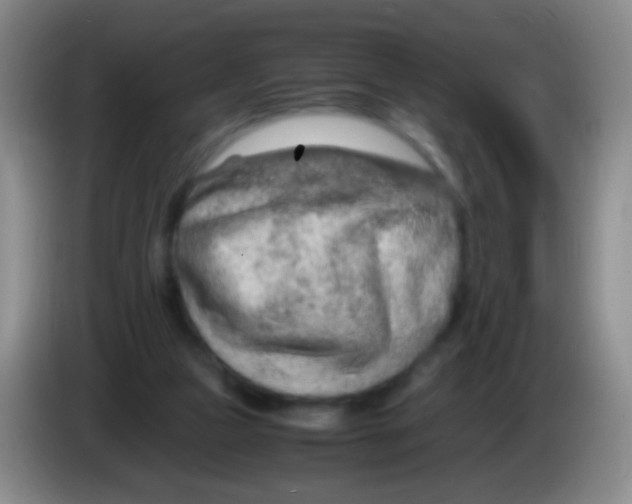 X0000084000161200703091913