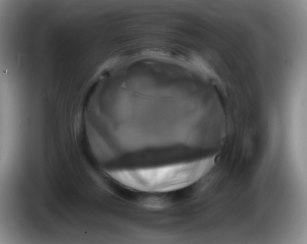 X0000084000163200703091913