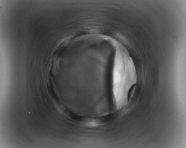 X0000084000167200703091913