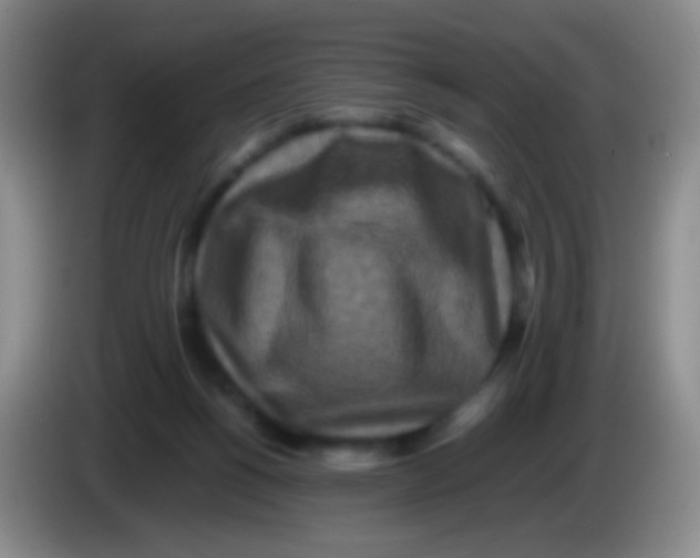 X0000084000168200703091913