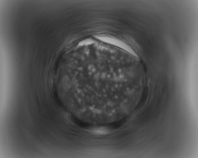 X0000084000169200703091913
