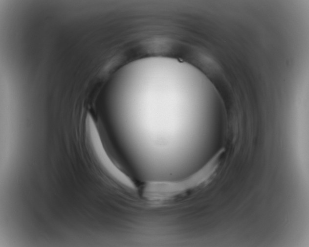X0000084000172200703091913