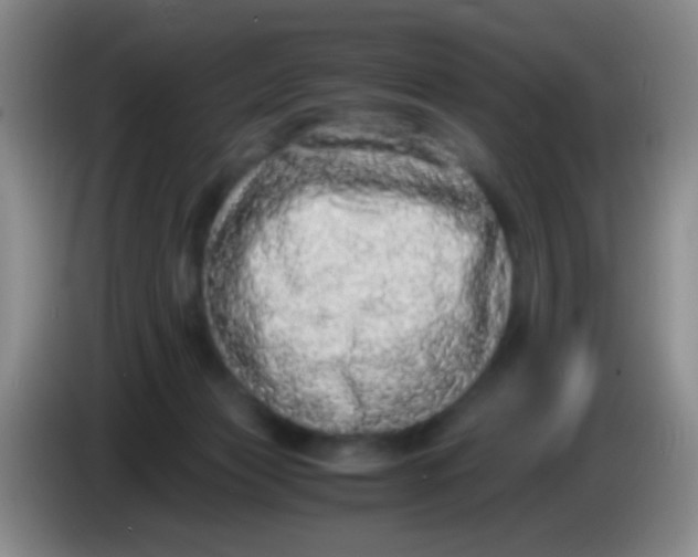 X0000084000173200703091913