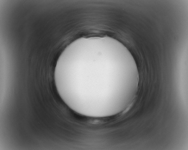 X0000084000174200703091913