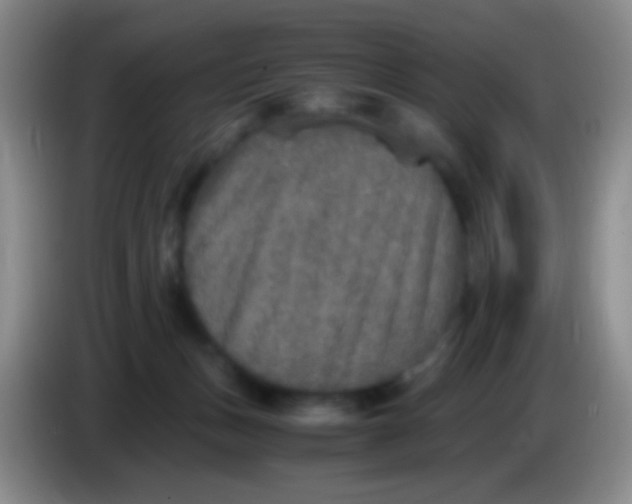X0000084000175200703091913