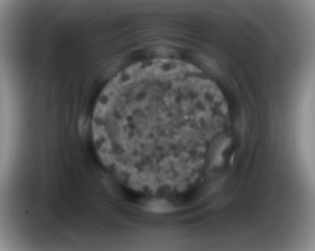 X0000084000177200703091913