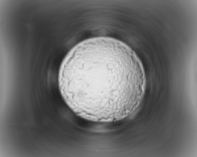 X0000084000178200703091913