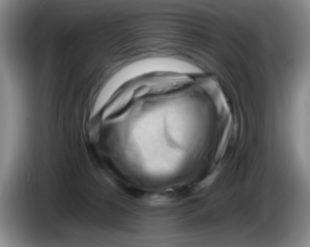 X0000084000180200703091913