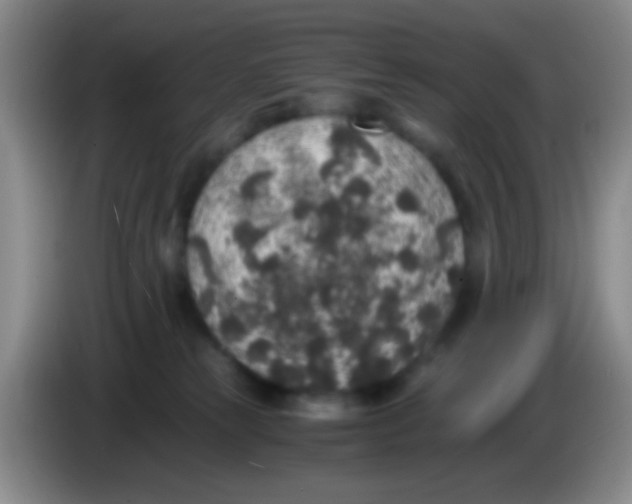 X0000084000181200703091913
